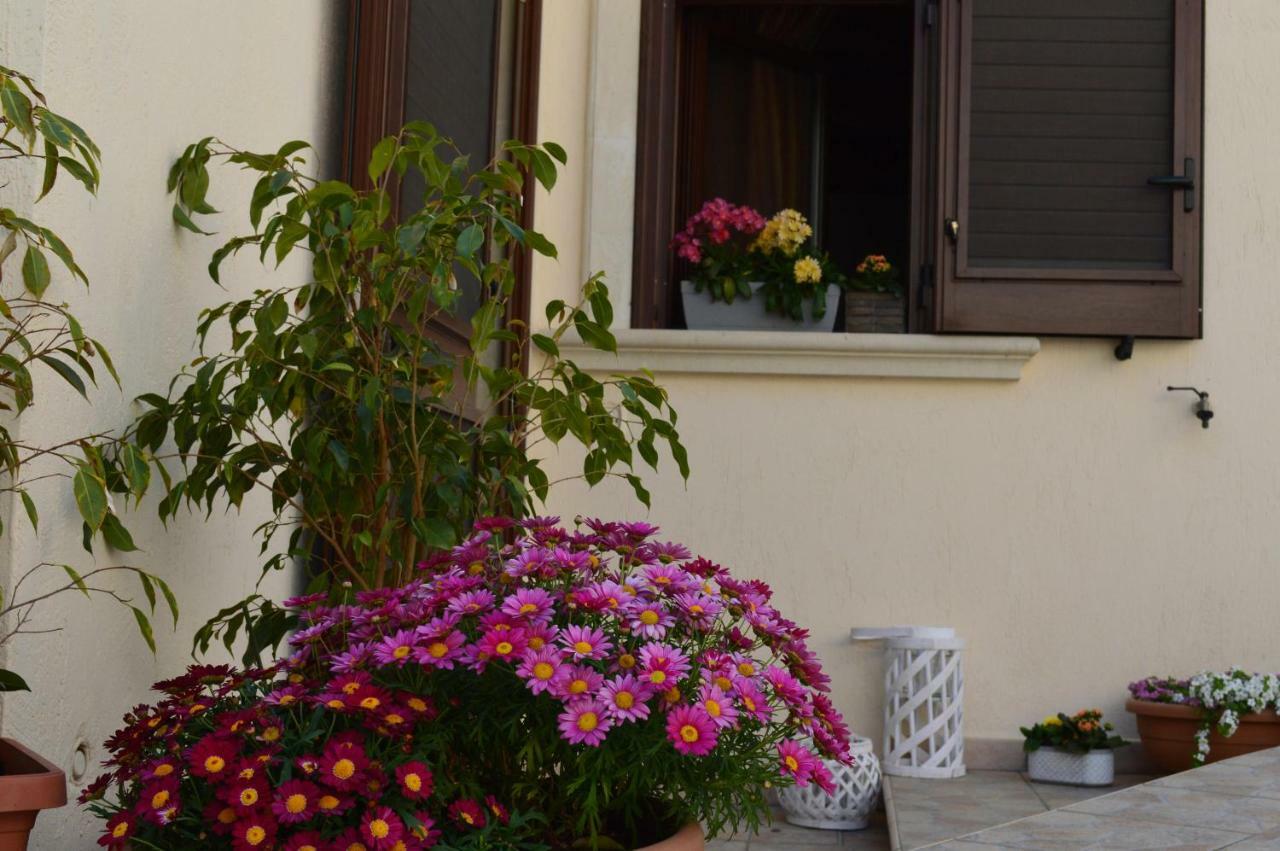 Ideale Per 4-6 Persone - Casamassella Otranto 외부 사진